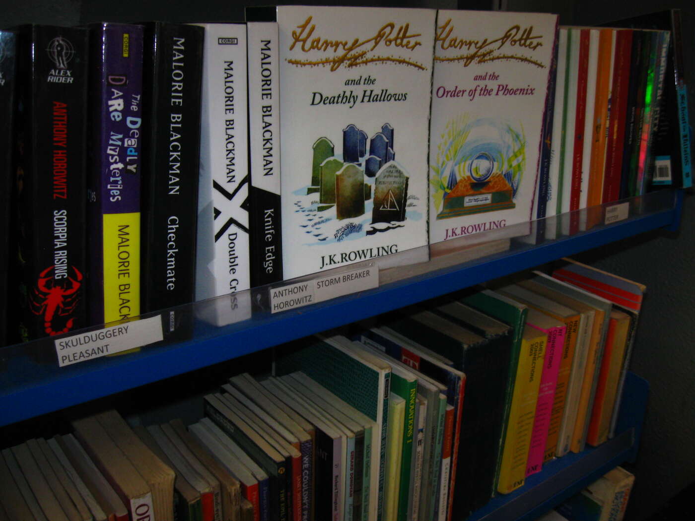 Ein gut gefülltes Bücherregal in Schulen - Alltag