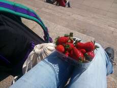 erste finnische Erdbeeren