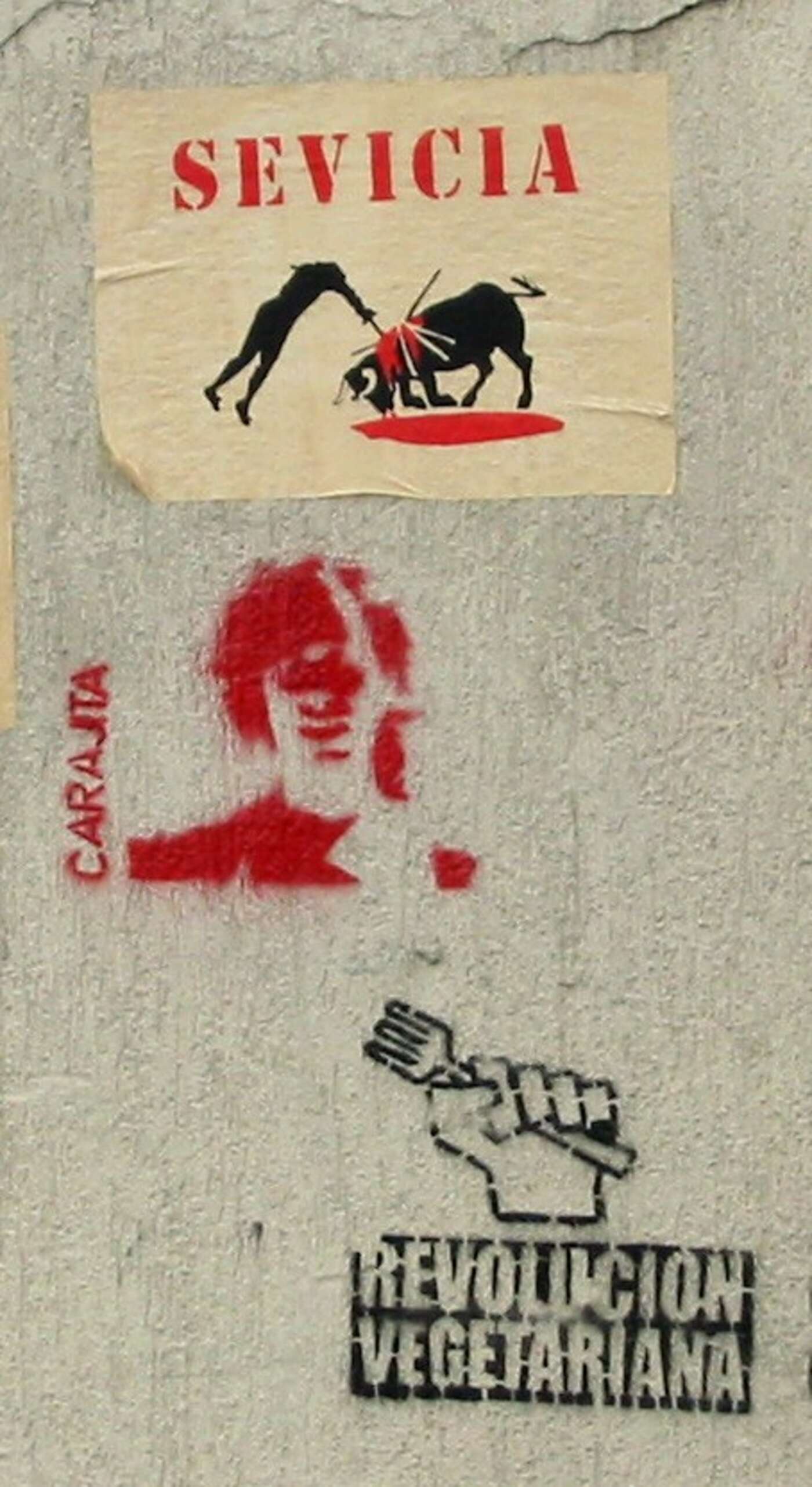 https://de.wikipedia.org/wiki/Stierkampf#/media/File:Taurofobia-Grafitti-Bogot%C3%A1-1.jpg