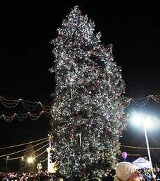 Der Weihnachtsbaum in Chisinau (Quelle: http://www.timpul.md/uploads/images/bradul%20nostru.JPG)