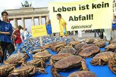 Greenpeace zeigt am Brandenburger Tor, was tagtäglich tausendfach auf den Meeren der Welt passiert