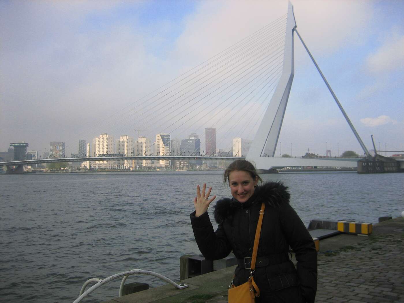Asking for marriage at Erasmus bridge (Rotterdam)