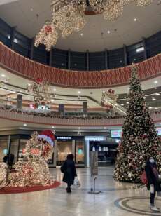 Weihnachtswahnsinn in der Mall