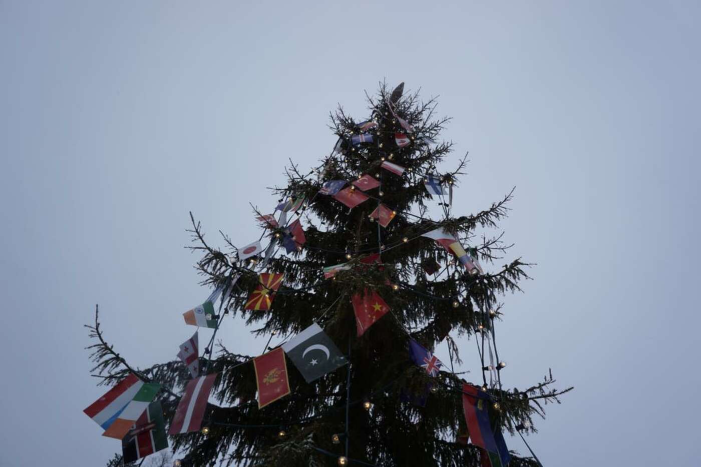 Ein internationaler Weihnachtsbaum