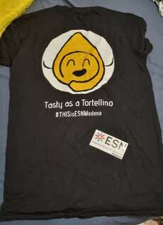 Die Rückseite des T-Shirt des ESN Modena :D // The back of the ESN Modena t-shirt :D