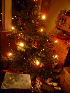 der schöne Weihnachtsbaum :)