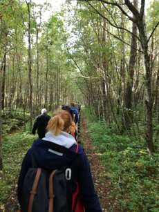 Unser Ausflug mit den Besuchern aus Norwegen im Birkenwald war echt ein Erlebnis 