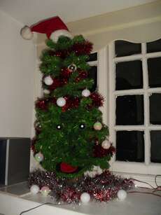 unser Weihnachtsbaum :)