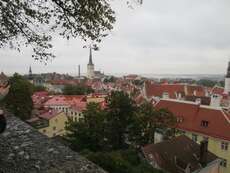 The view over Tallinn Old Town
