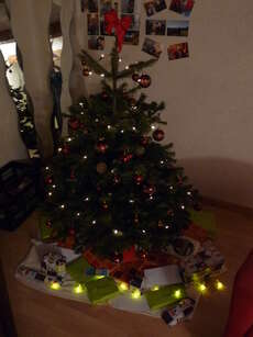 Mein erster eigener Weihnachtsbaum