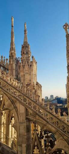 Ausschnitt des Doms von Milano // Detail of the Cathedral of Milano