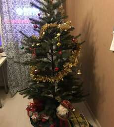 unserer Weihnachtsbaum