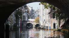 Ein Kanal in Utrecht. Mit hübschen kleinen Vögeln!