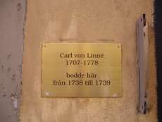 Ob in Madrid, Dresden oder Stockholm: Herr von Linné ist immer präsent
