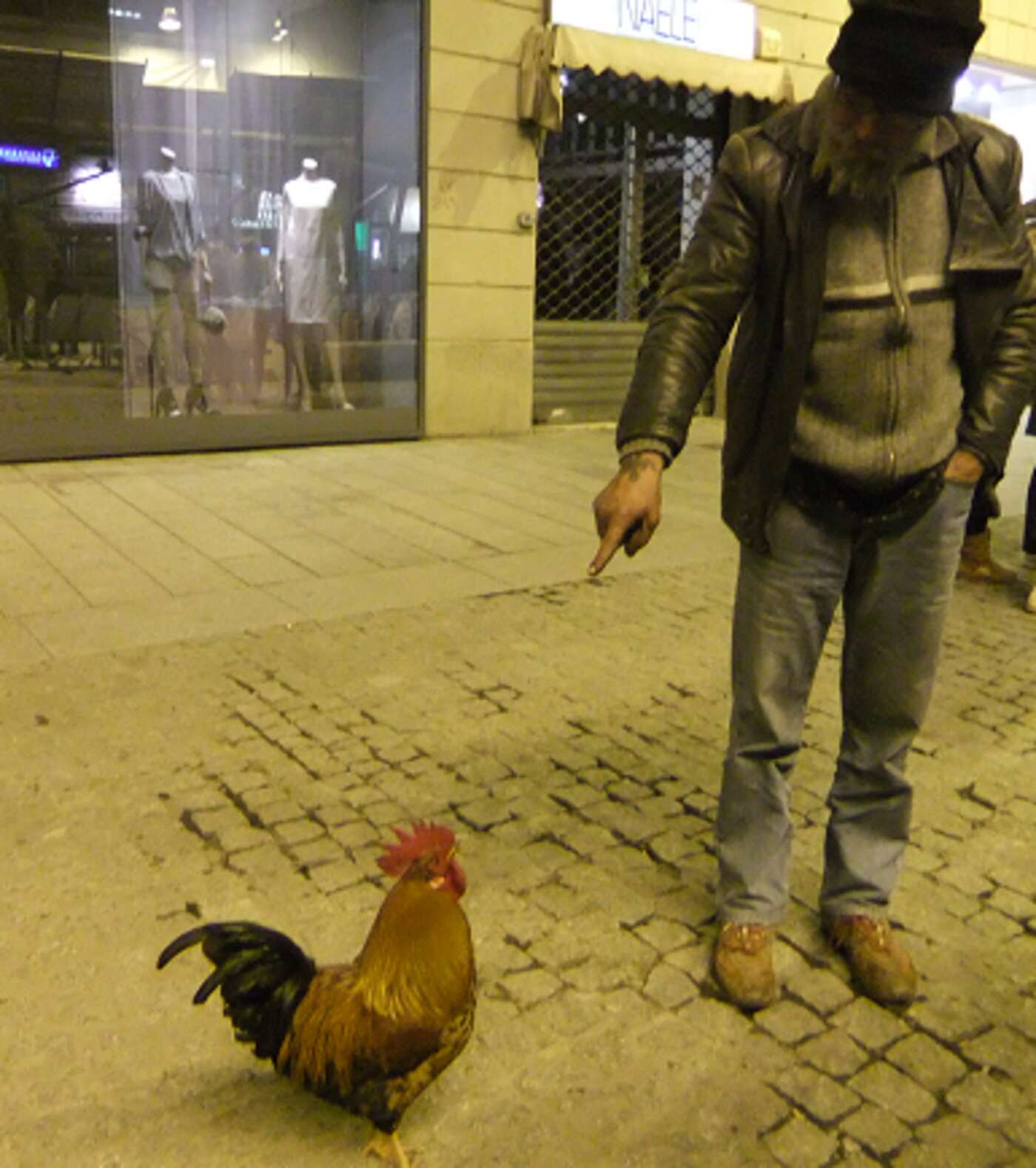 Ein Hahn in der Fußgängerzone Mailands