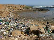 Immer mehr Müll landet im Meer