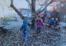 Der Apfelbaum des Kindergartens