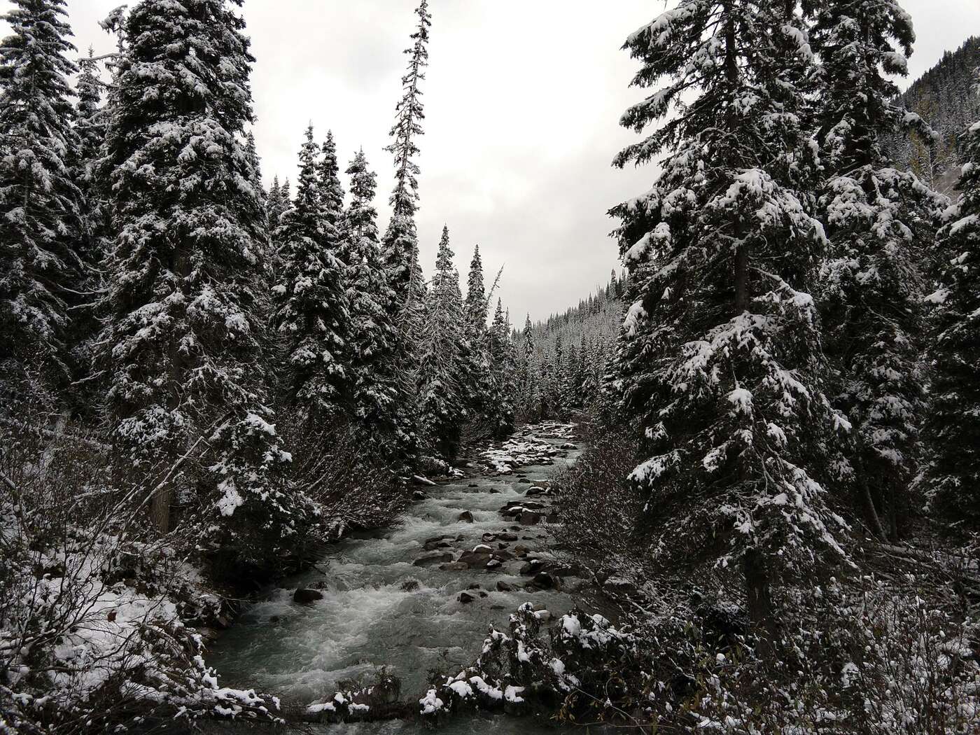 Foto von Brücke ins verschneite Flusstal