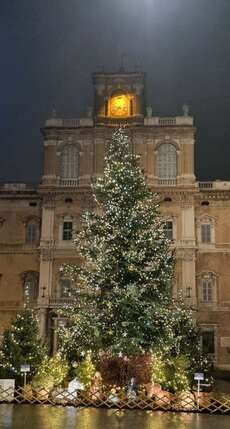 Geschmückter Weihnachtsbaum in Modena // Decorated Christmas tree in Modena