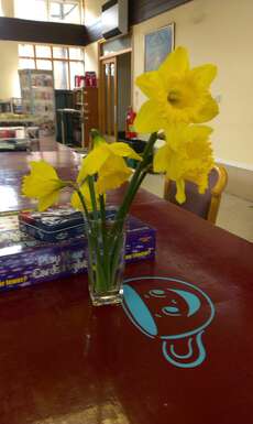 Daffodils im craft room