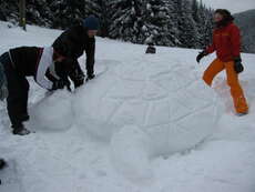 Mein Team hat eine riesen große Schneeschildkröte geformt.