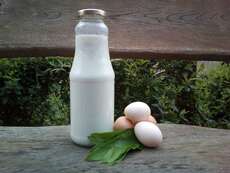 Bärlauch, Eier und Ziegenmilch