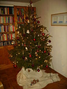 Unser Weihnachtsbaum