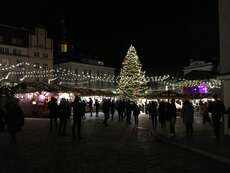 Der Weihnachtsmarkt in Tallinn -klein aber fein