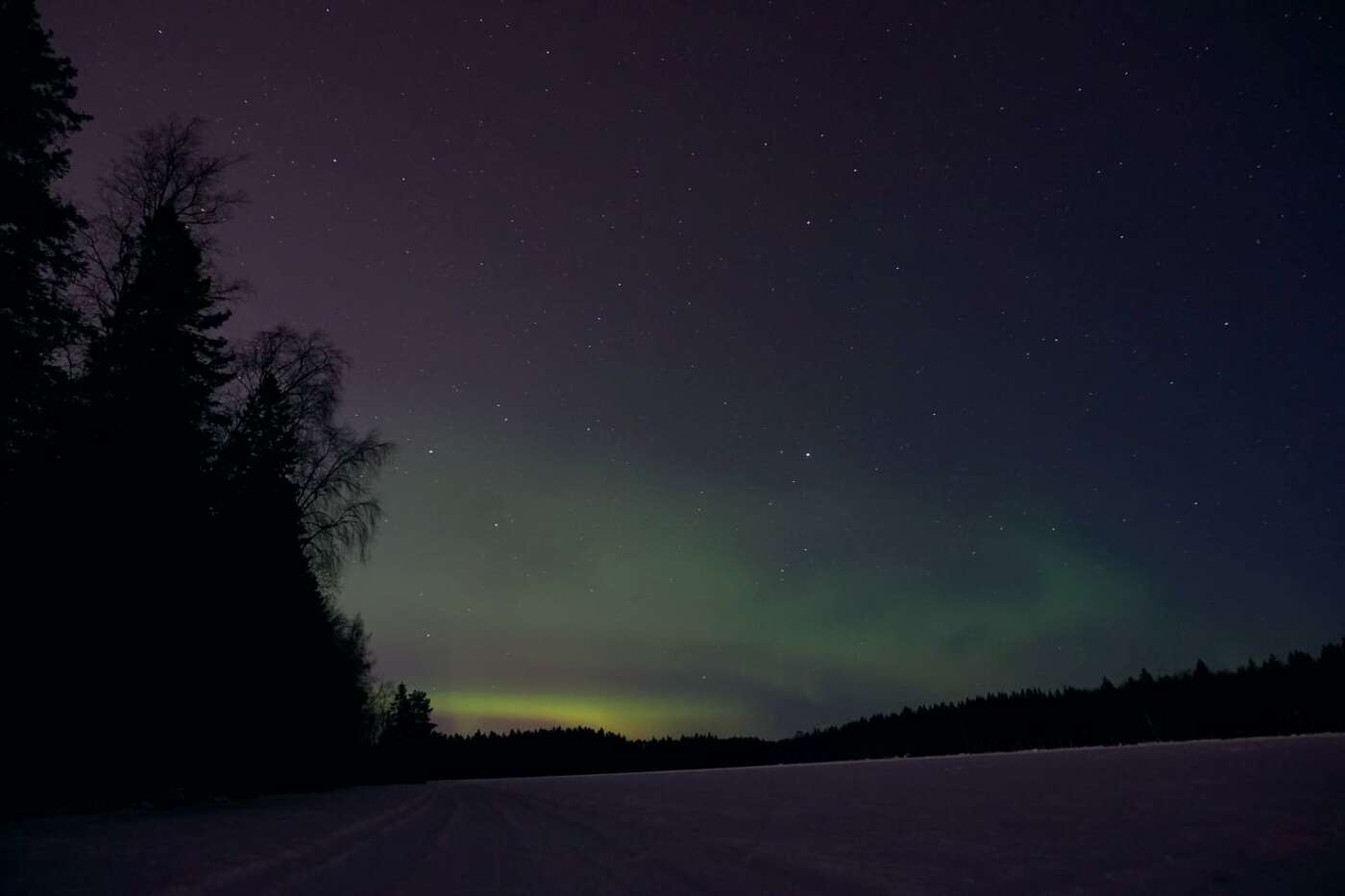 Nordlichter Umeå