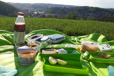 Mein erstes Picknick, bei strahlend schönem Sonnenschein