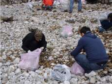 Huge amounts of waste can be collected on beaches, sorted and recycled.