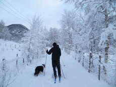 "skiing in a winter wonderland" :)