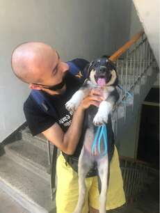 Mein Georgisch-Lehrer mit seinem Baby! Er ist glücklicher mit dem Hund als mit meinen Georgisch-Kenntnissen :)