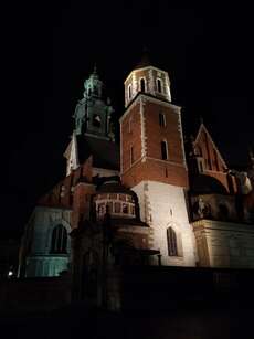 The view of the Wawel Cathedral (Kraków) at night.